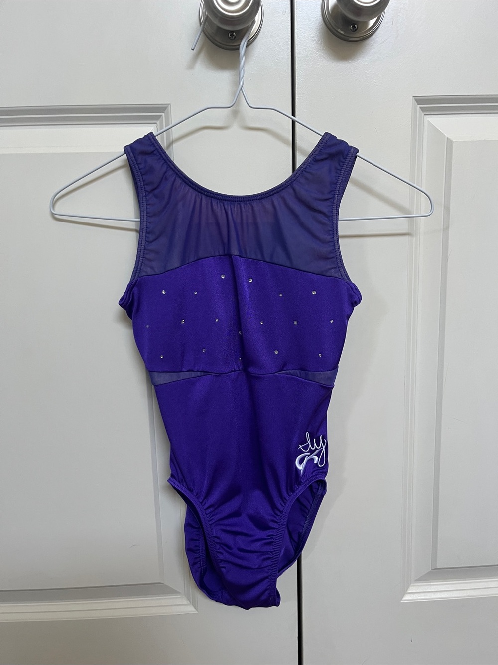 Aly Raisman GK leotard